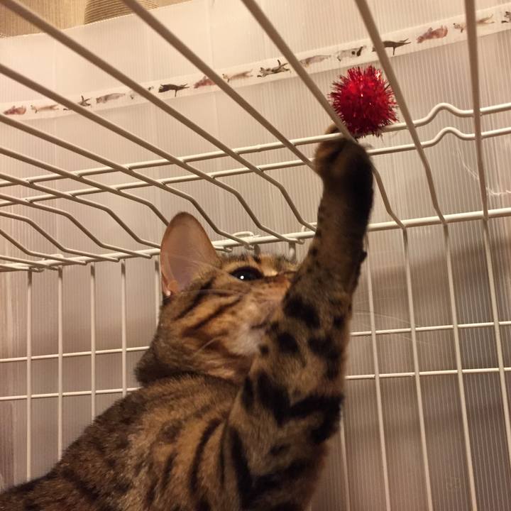 F2170907 040a 41d7 af4e f3c9f8d9a0f1