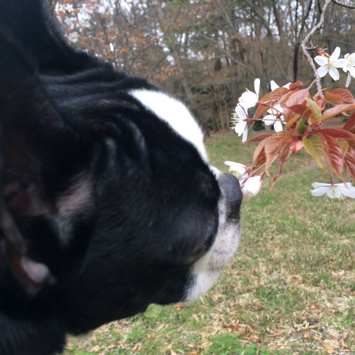 F217403d 206b 45b7 b8e5 fc6a15a42042