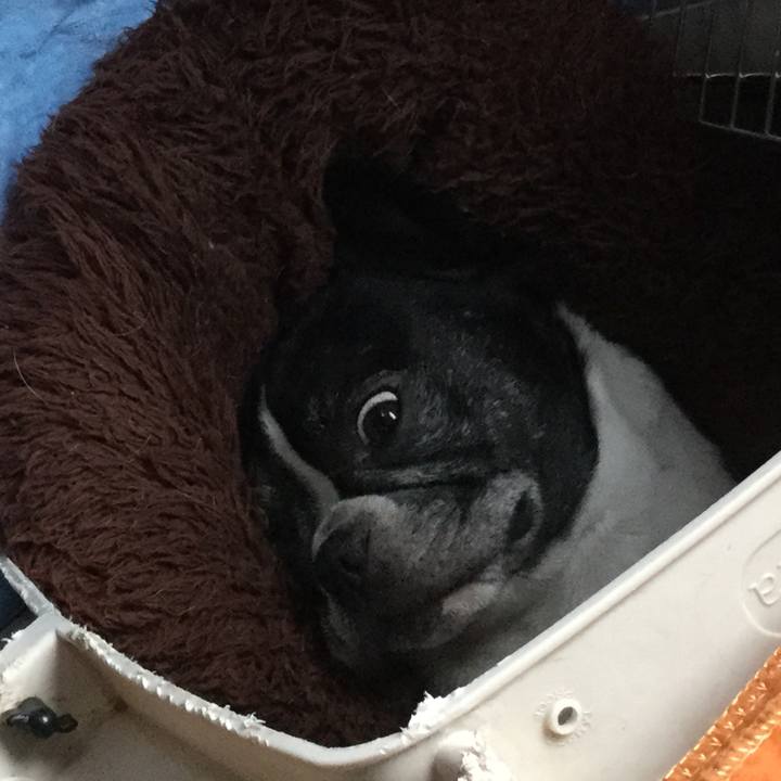 F21740ed 12e3 4788 aaa4 2a4c0e76e607