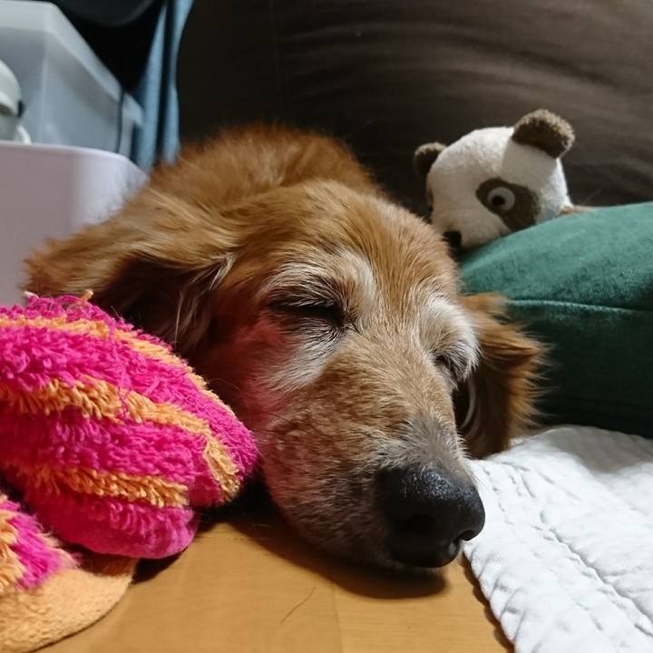 F21773d5 3bd3 4735 92ad b1829e428c62