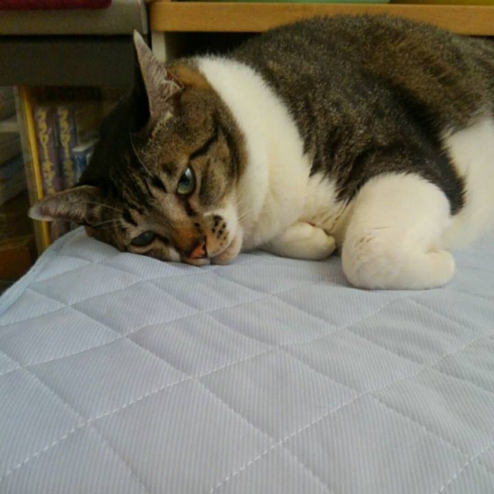 F217cac5 9fcb 4014 b7a7 57557b989abc