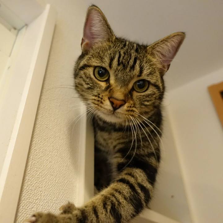 F218dcf3 6b3b 4e66 a7d1 d58d3d86449c