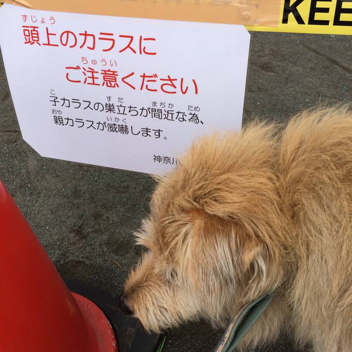 F2191e80 0e9a 4ad0 bf17 86775d57b0e7