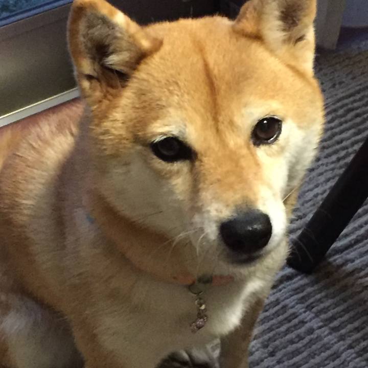 F2195d50 0ceb 49b9 96bd 90621517454f