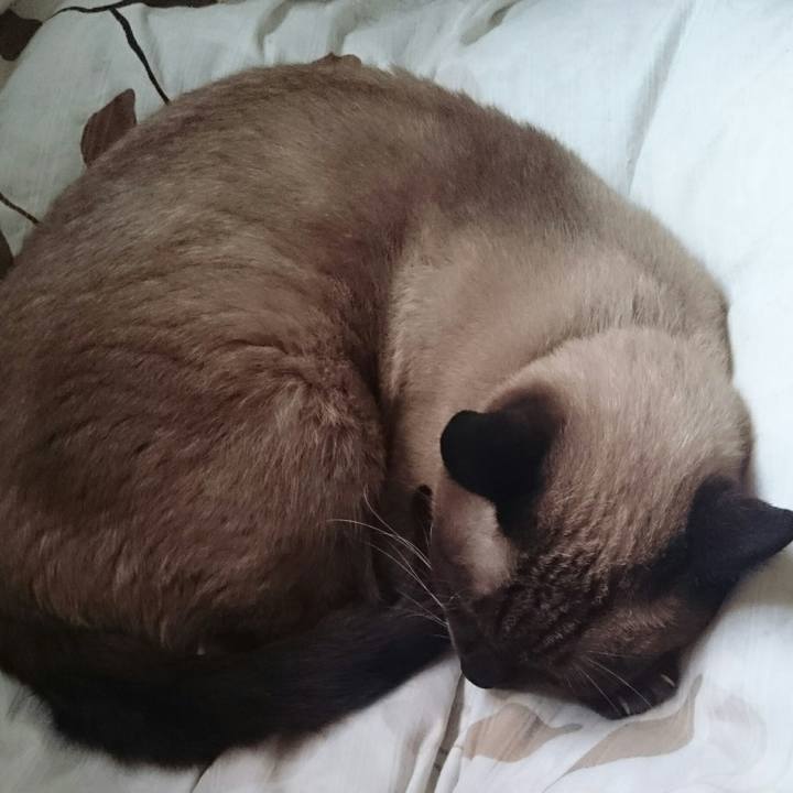 F21963d2 b4f2 42b5 99fe 3077882b0539