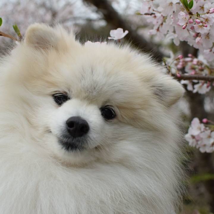 F21a3c20 08e8 482a 8d37 8aad4e17b466