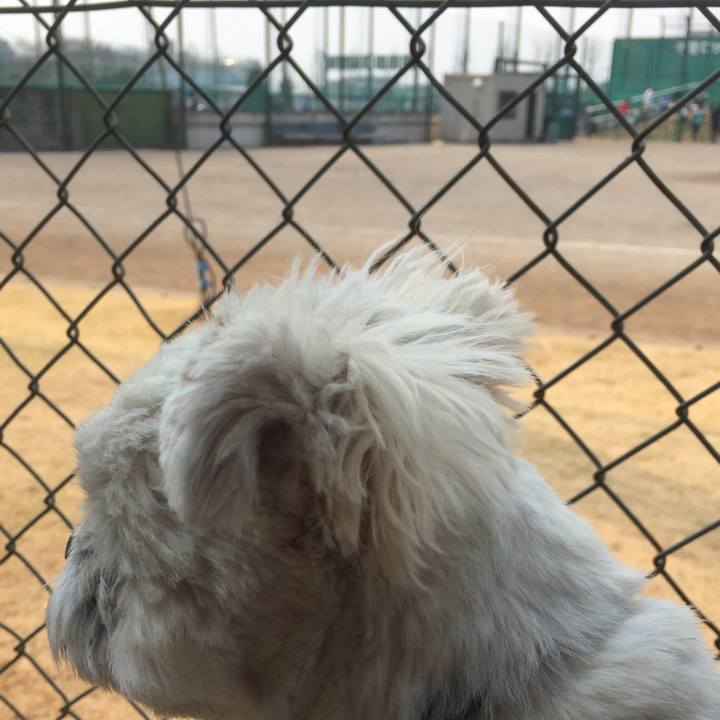 F21ac3b6 ec81 493f a4d3 79cb7a6b418b