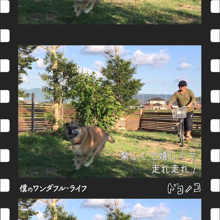 F21b8729 f079 471b 8b9f 237933bae088