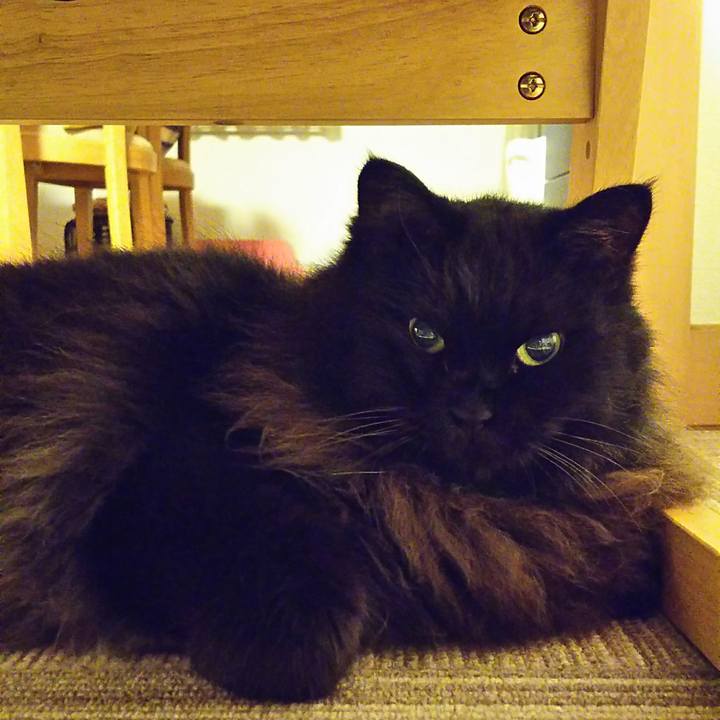 F21b9275 36dd 4080 8c8b ff296cf7b816