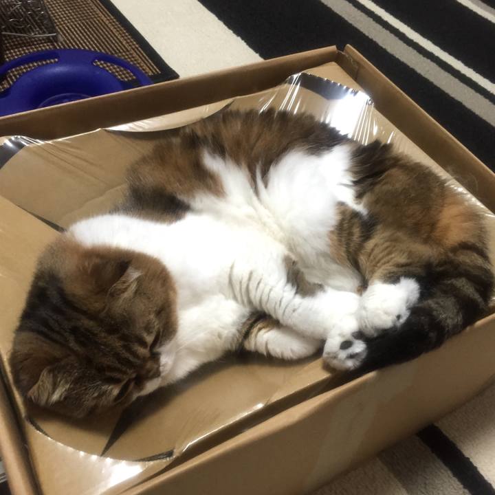 F21c707c 224a 4c46 bc9d f572ad78469f