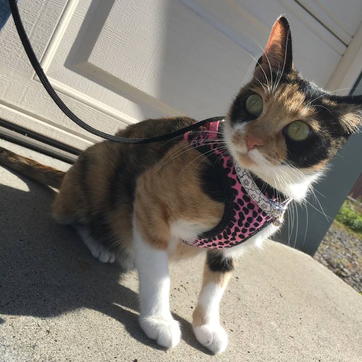 F21d119d d21a 4de1 a4da 0e9a2ee152f1