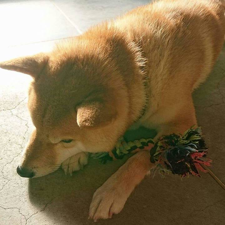 F21d2375 f13b 4e66 8d99 59e0d3941be4