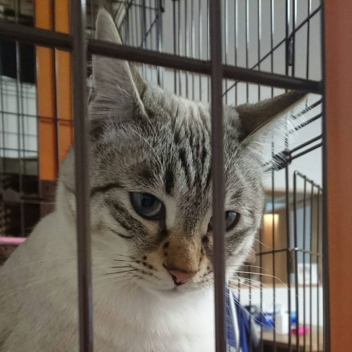 F21ecae0 dcd1 4cfe 8ef4 b32796b7adc8