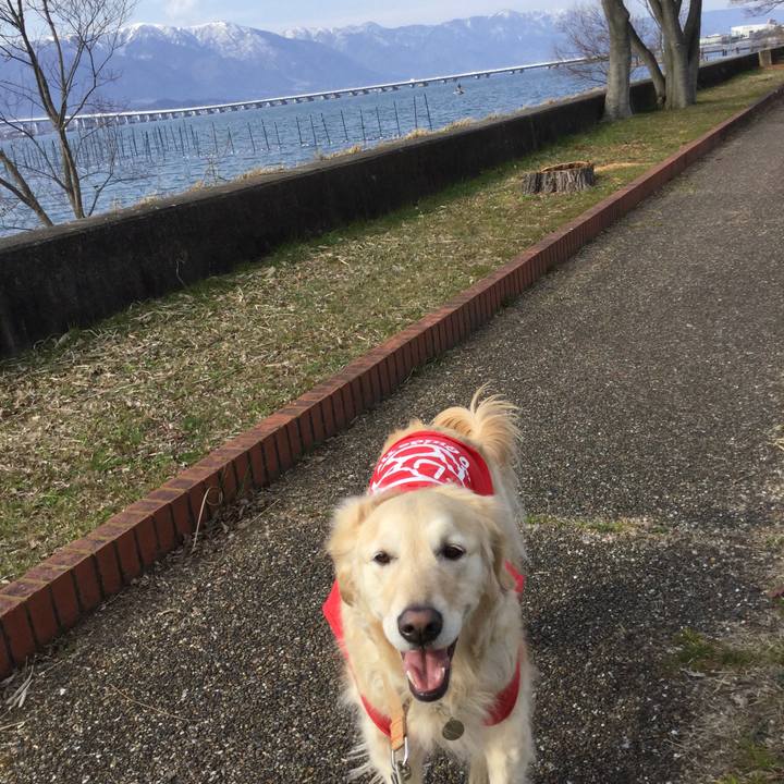 F21f10a4 ea12 44db b473 630a11a847ea