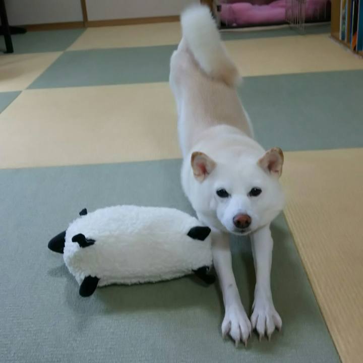 F21f4781 7a2d 44cf 86b4 a7770d06d1a5