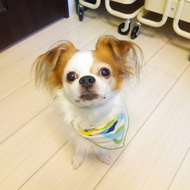 F21f654d 5596 4672 b995 56bb8cad27c0