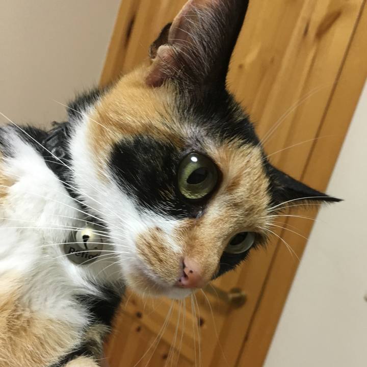 F21fd03b 5f2c 4223 9d16 7bb37b495145