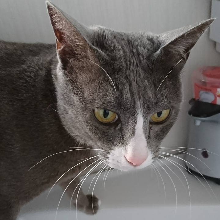 F2200d25 197f 4aca b12a 159c0d263ffc