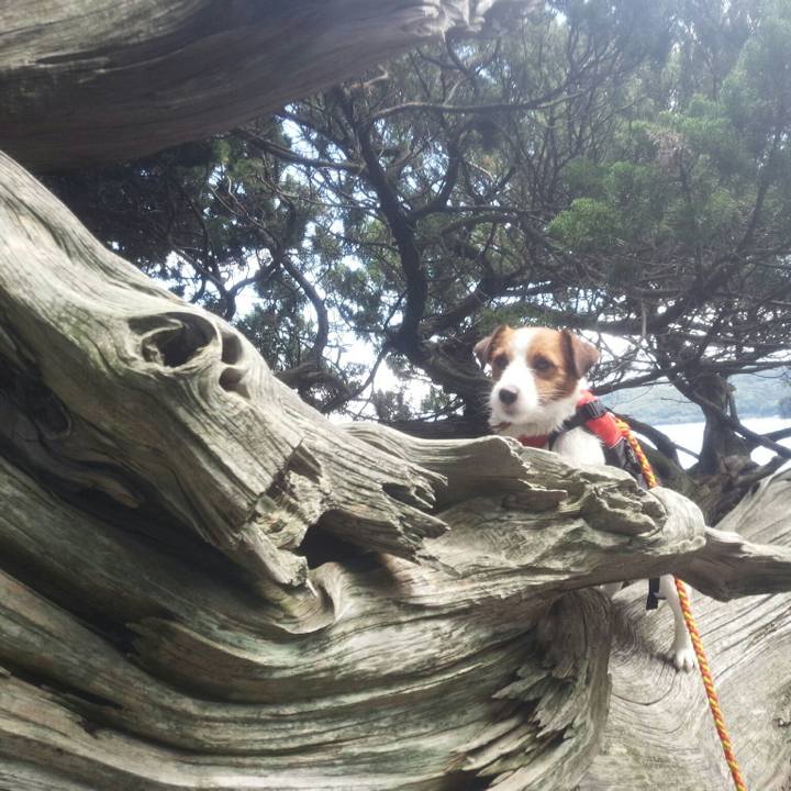 F2203061 6784 4279 b9d1 27f48f4455eb