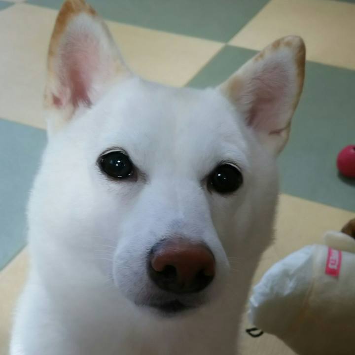 F220a70b 7ca4 499f 83cf 5b8ad87ae5e8