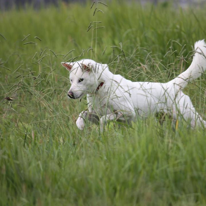 F22185c1 4623 45f4 b487 bcf64024d5a6