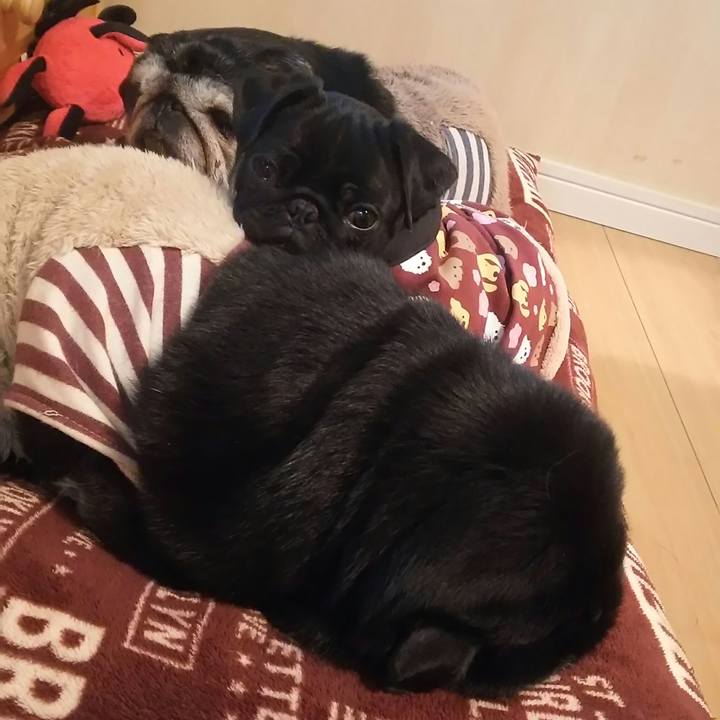 F221c634 d5a3 4d7b b731 d1807801ce23