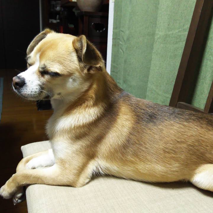 F2223099 04a8 447d 8591 ece3b454f1f1