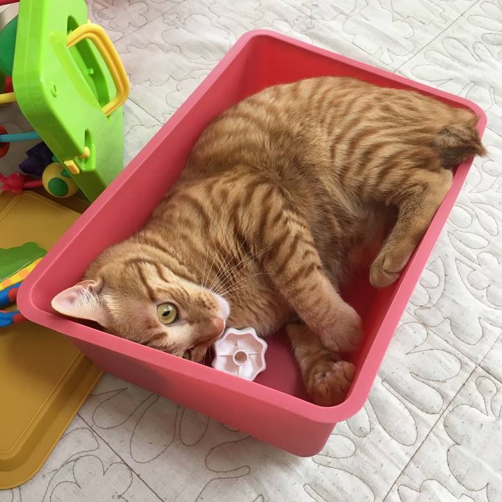 F22242c5 2ab8 4f16 9402 be231ec57100