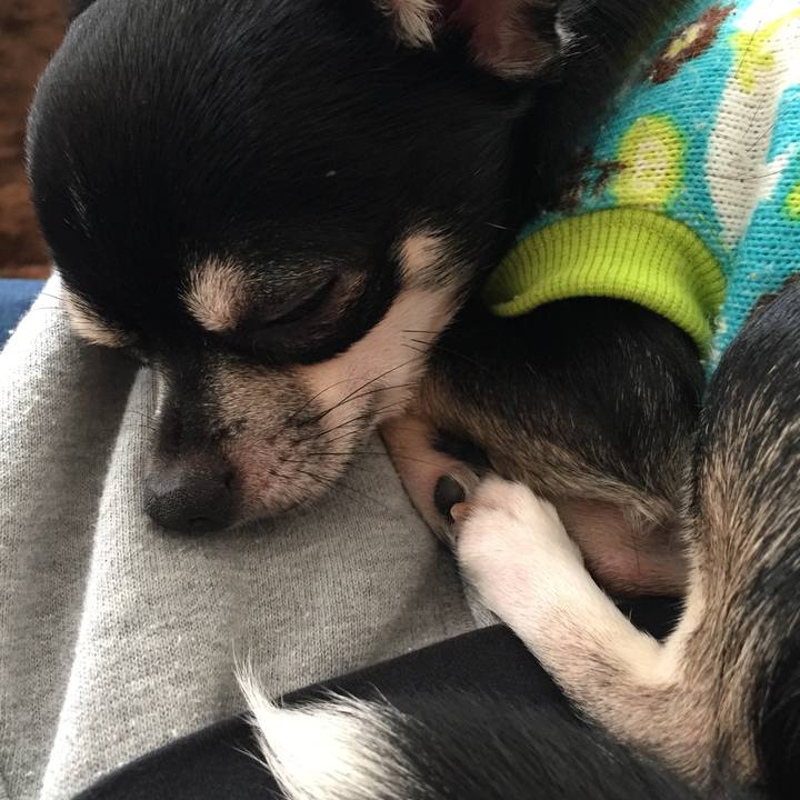 F2227ca5 71f6 4d3b b552 f845b9c0b01a