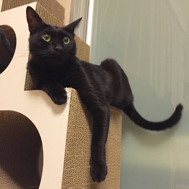 F222d7fa e22f 4a5b a8f6 0372a26d3e74