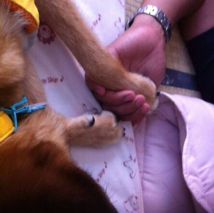 F223ad64 ff82 4446 b4d0 20271189e0ad