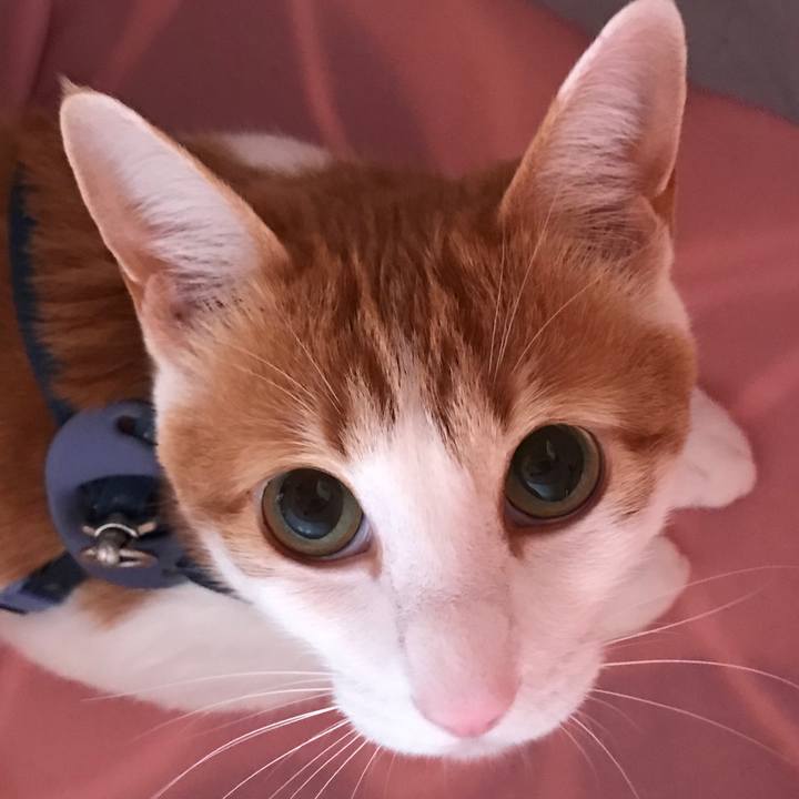 F224f9e7 5af6 4bbc 94a5 32d95290de5c