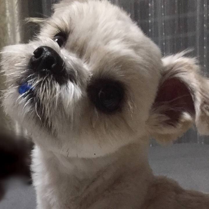 F22514ac 3660 4ab4 a6ad d3c96d5c61e7