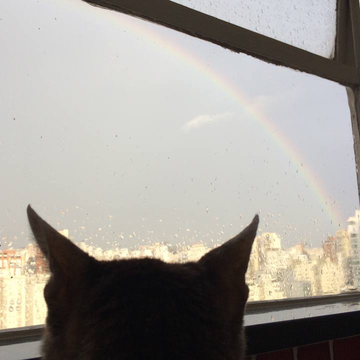 F226968e 940c 4e8d af61 0494794cc355