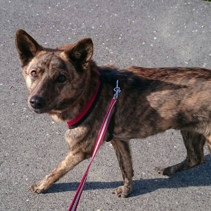 F226d97d 2aaa 43ac bf3d 89e473cbd343