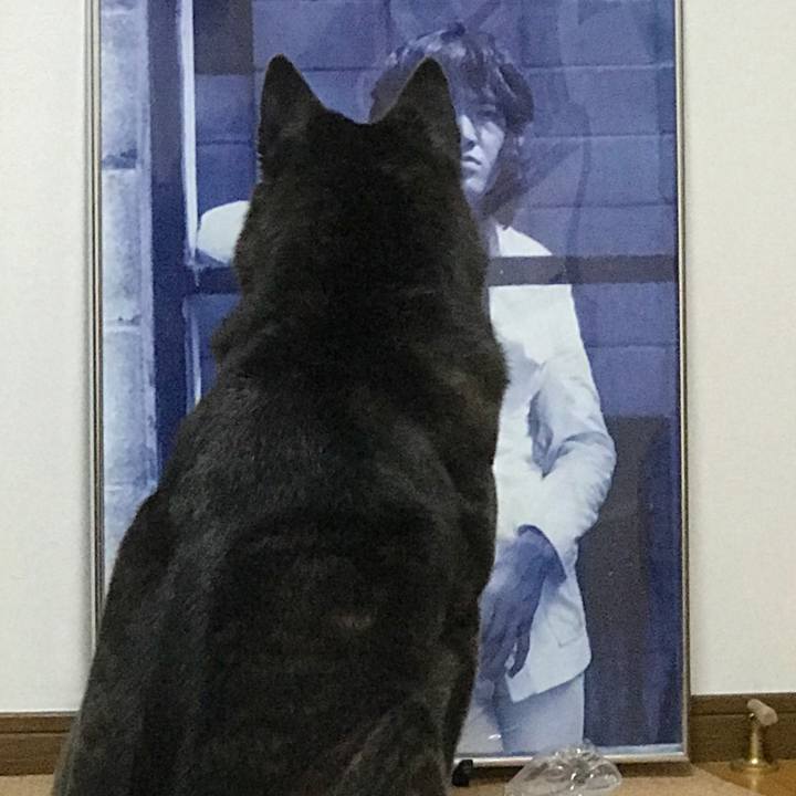 F2276324 426c 43a9 8eb2 7e367f3126ee