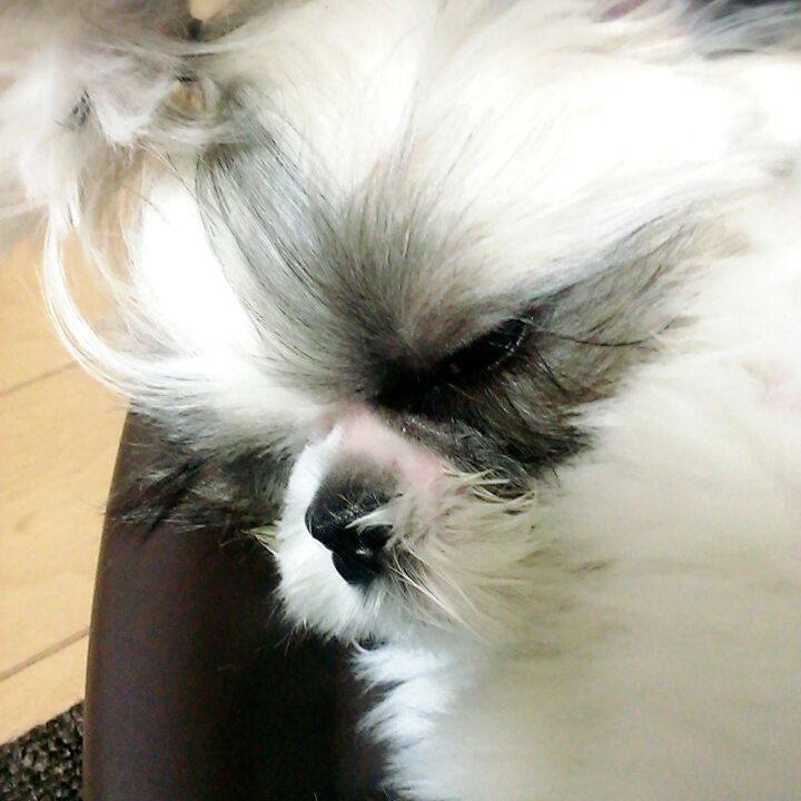 F2277eac dd00 4bfc b0e0 fd0f368c5e66