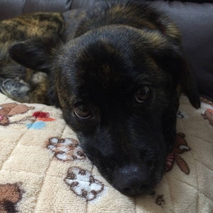 F2285cc7 1b53 4374 9e0b c9b756a6c7a0