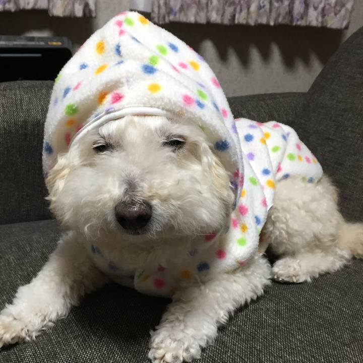 F2287263 5f5c 468f 9d57 ee55cb1cfb02