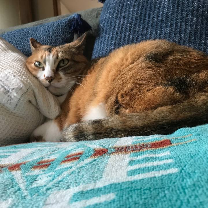 F2287f87 227c 48e6 a19b 88c64e8d2b60