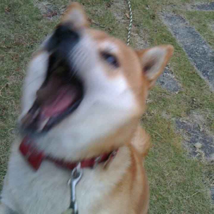 F228fcf7 a40c 4145 a4ee 2c3ce7d6c387