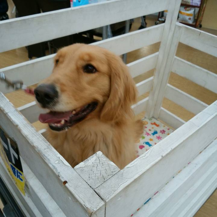 F2291703 5017 4400 949b 24f1345ba01c