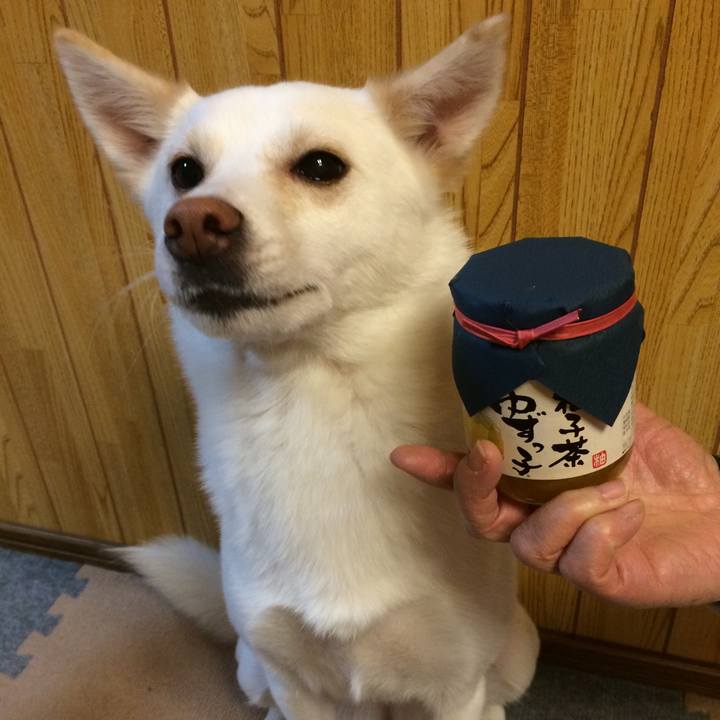 F229b59d ea75 46bc 8a41 3ba995b7edb1