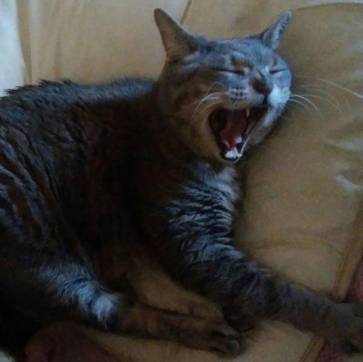 F22a6496 9951 4380 9242 cd980cdf76f3