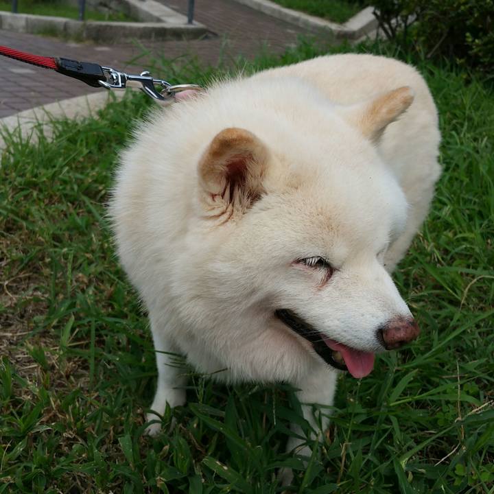 F22a8ee0 7bbf 445e ba95 fe6c896efef1