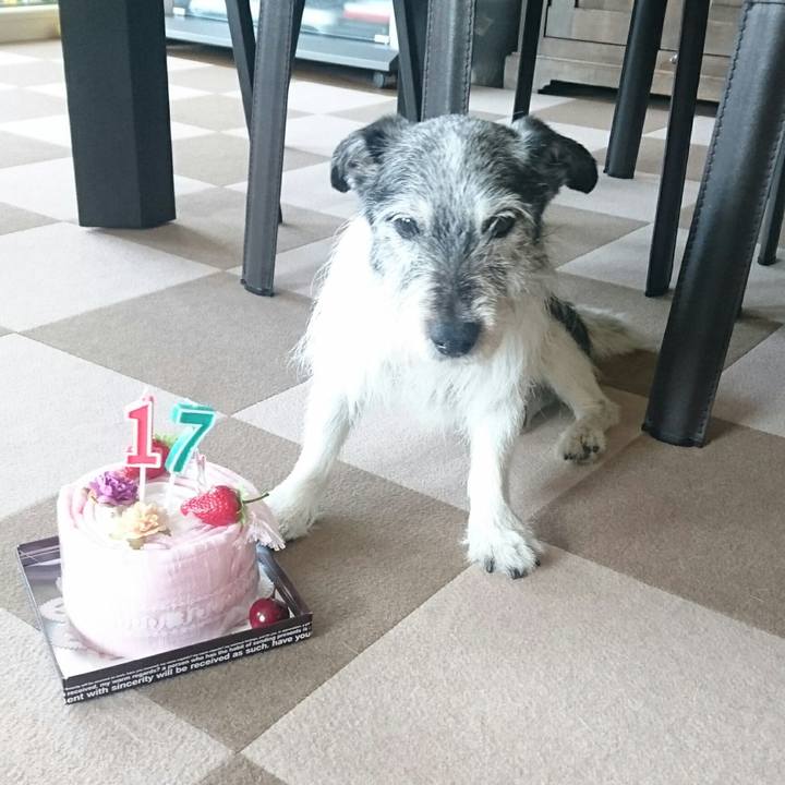 F22aa5f3 b765 4cba b4e3 f7e016da2c00