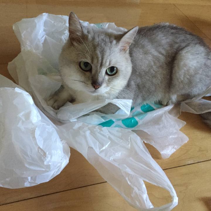 F22aac32 6fc3 4588 92cc 3bb36725df6b