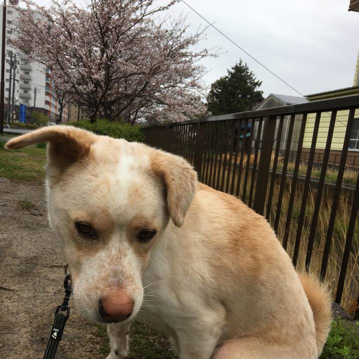 F22ad5ce 5c7a 4d47 8a55 1734c3f82b28