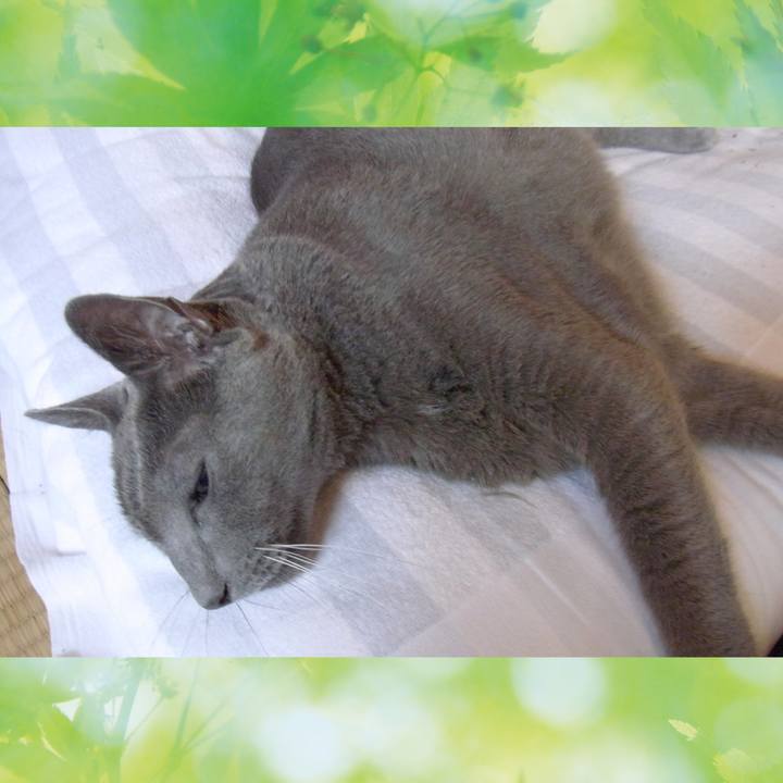 F22bd175 d2a8 4b96 b46b 453f1f7bc35c