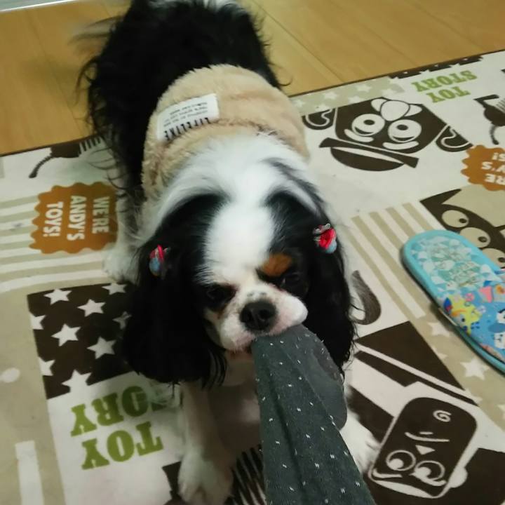 F22bdbe6 3f06 418c 9e70 a3daaa7fa58b